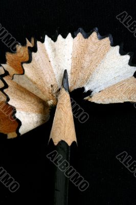 Pencil Shavings isolated in dark background