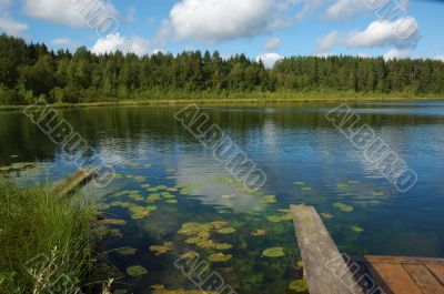 A lake in the forest with clouds reflections on the water
