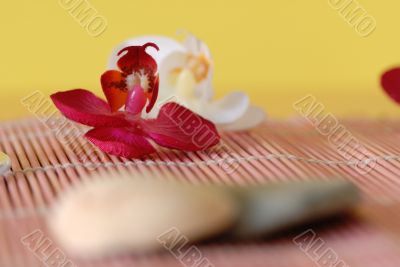 shell and summertime atmosphere