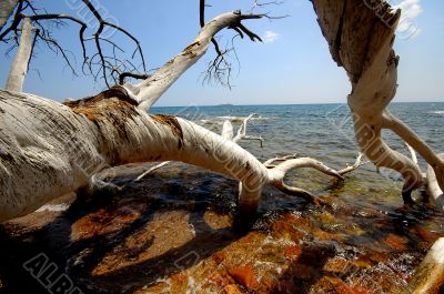 Corsica landscape (france)