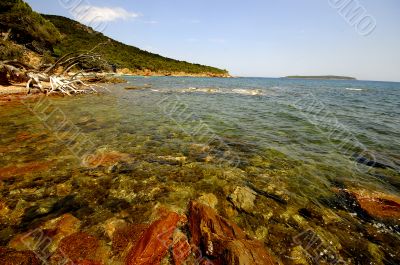 Corsica landscape (france)
