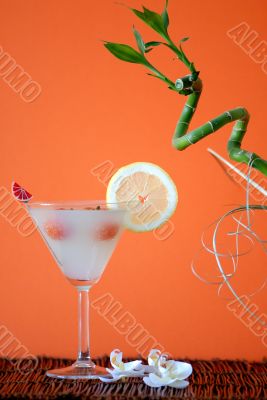 Very great cocktail with lemon