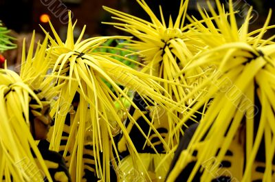 Festival and carnival shot