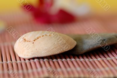 shell and summertime atmosphere