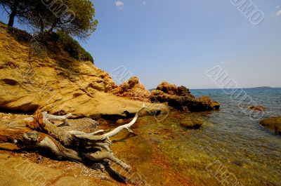 Corsica landscape (france)