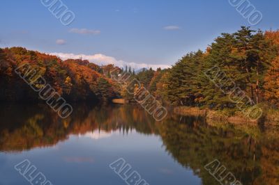 Autumn splendour