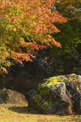 Autumn rocks corner