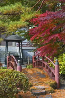 Japanese bridge