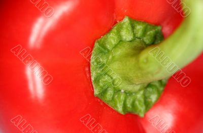 Red sweet pepper