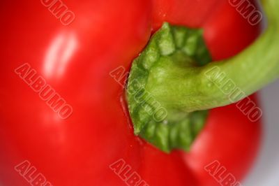 Red sweet pepper