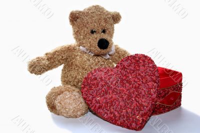 Teddy bear with Jewelry beads casket in form of heart