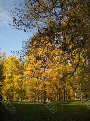 Autumn