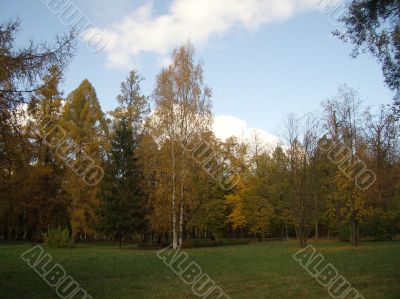 Autumn