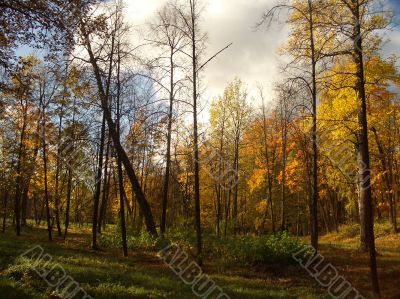 Autumn