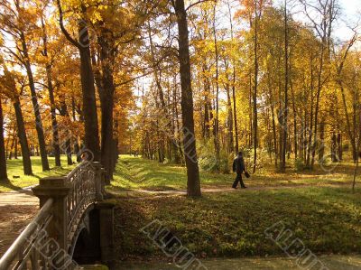 Autumn