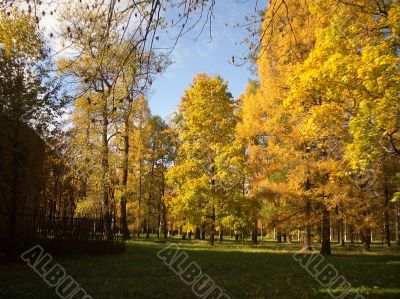 Autumn