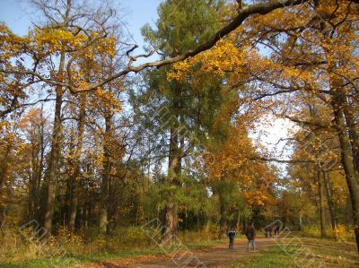 Autumn