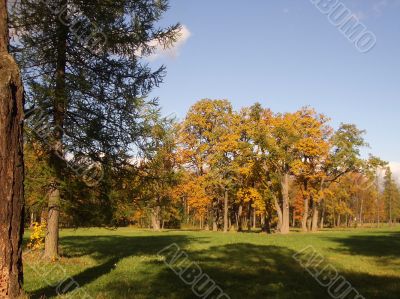 Autumn