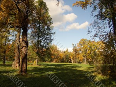 Autumn