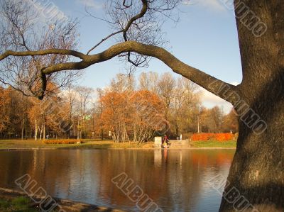 Autumn