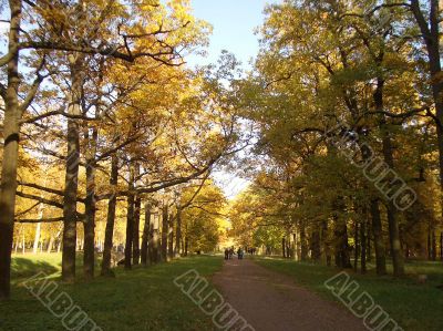 Autumn