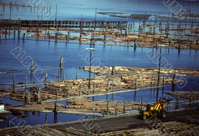 Log sorting pond