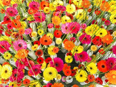 Floriade