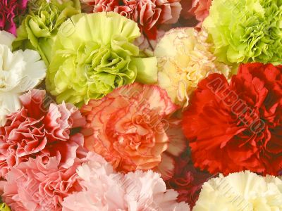 Floriade