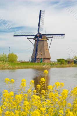 Kinderdijk