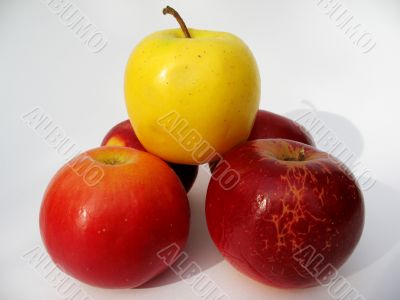 5 Apples Isolated on white