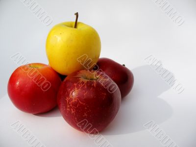 Apples   Isolated on white
