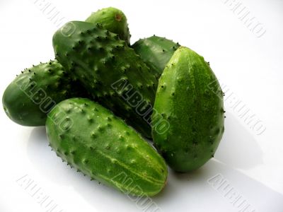 Cucumber  Isolated on white