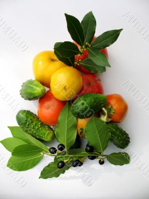 Vegetables  Isolated on white