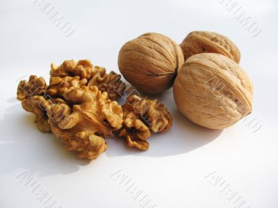 walnut  Isolated on white
