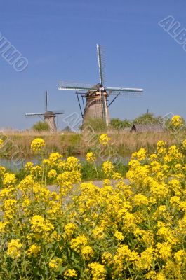 Kinderdijk