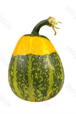 Green and yellow pumpkin