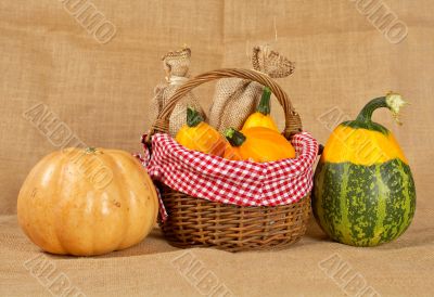 Pumpkins