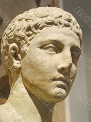 Statue in the Colosseum