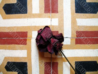 rose on old floor