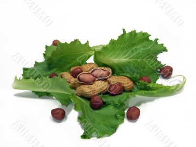 Leaves of salad and nuts