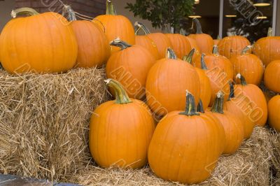 Pumpkins on Hay