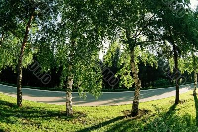 A walk around the park.