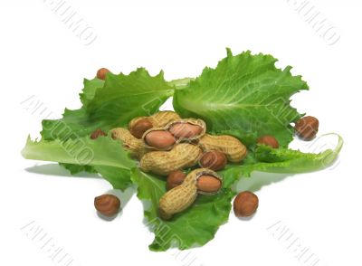 Leaves of salad and nuts 2