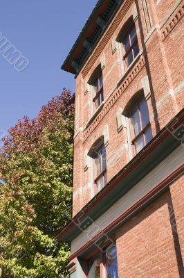 Old Brick and Trees