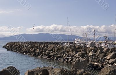 Rocky Point