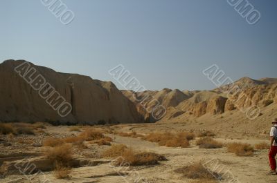 arava desert - dead landscape, background