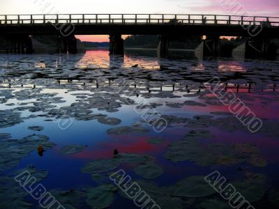 pink bridge