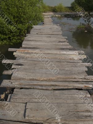 Old, wooden bridge
