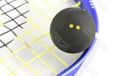 Squash Ball on Racket