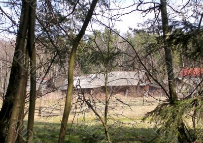 House in the forest